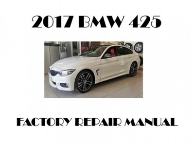 2017 BMW 425 repair manual