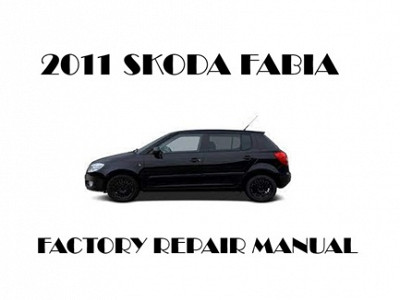2011 Skoda Fabia repair manual