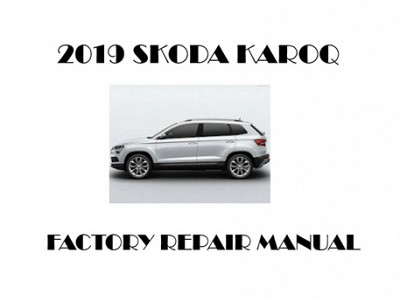 2019 Skoda Karoq repair manual
