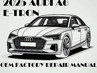 2025 Audi A6 e-tron repair manual