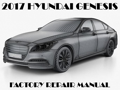 2017 Hyundai Genesis repair  manual