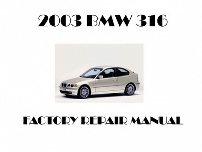 2003 BMW 316 repair manual