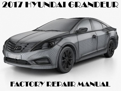 2017 Hyundai Grandeur repair manual