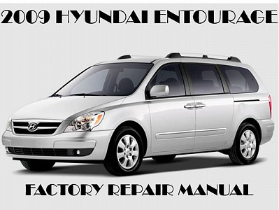 2009 Hyundai Entourage repair manual