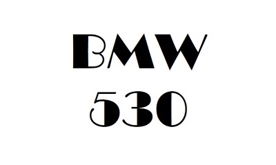 BMW 530 Workshop Manual