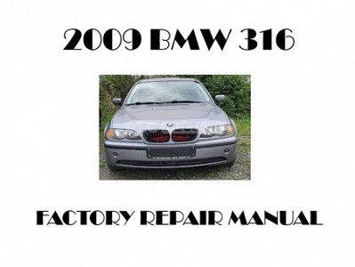 2009 BMW 316 repair manual