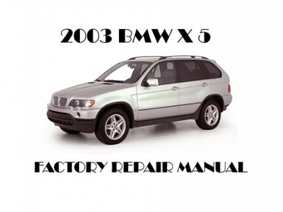 2003 BMW X5 repair manual