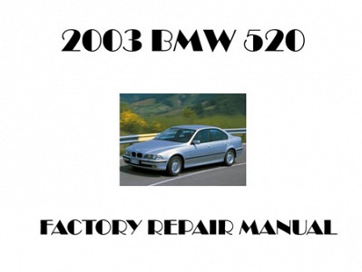 2003 BMW 520 repair manual