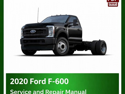 2020 Ford F-600 repair manual
