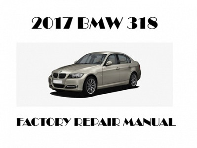 2017 BMW 318 repair manual