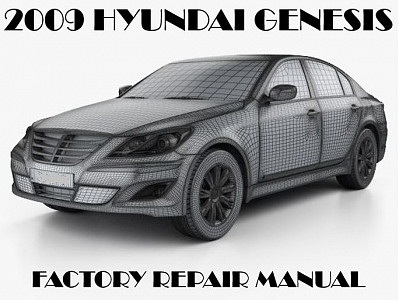 2009 Hyundai Genesis repair manual