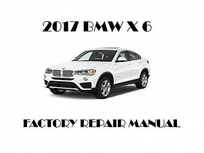 2017 BMW X6 repair manual