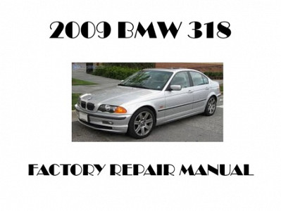 2009 BMW 318 repair manual