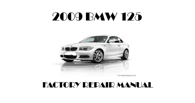 2009 BMW 125 repair manual