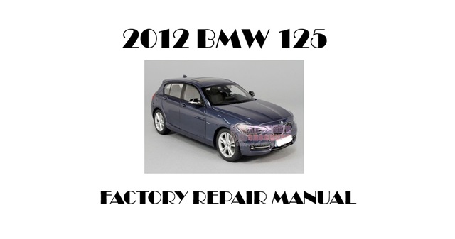 2012 BMW 125 repair manual