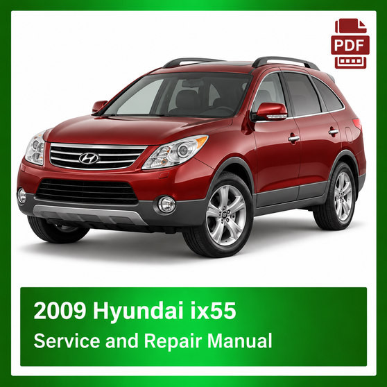 2009 Hyundai IX55 repair manual