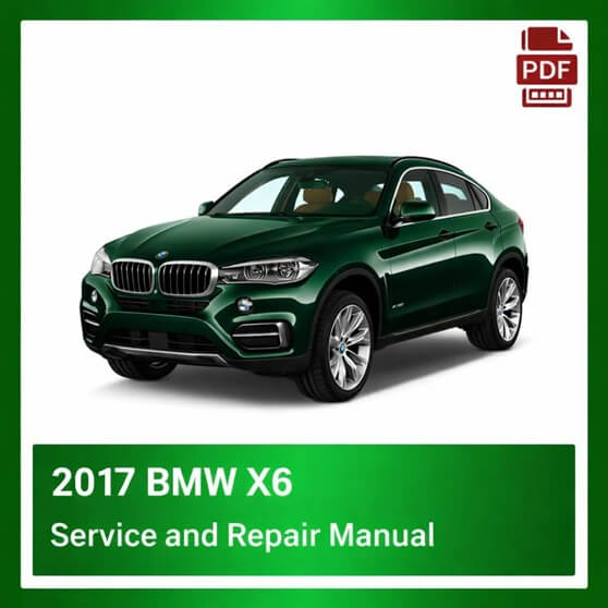 2017 BMW X6 repair manual