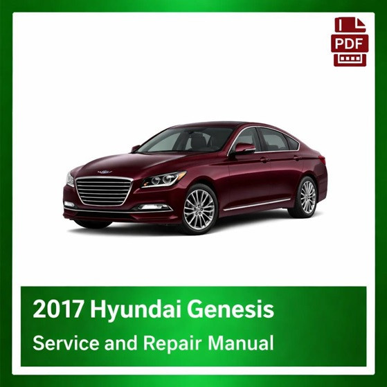 2017 Hyundai Genesis repair  manual
