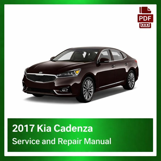 2017 Kia Cadenza repair manual