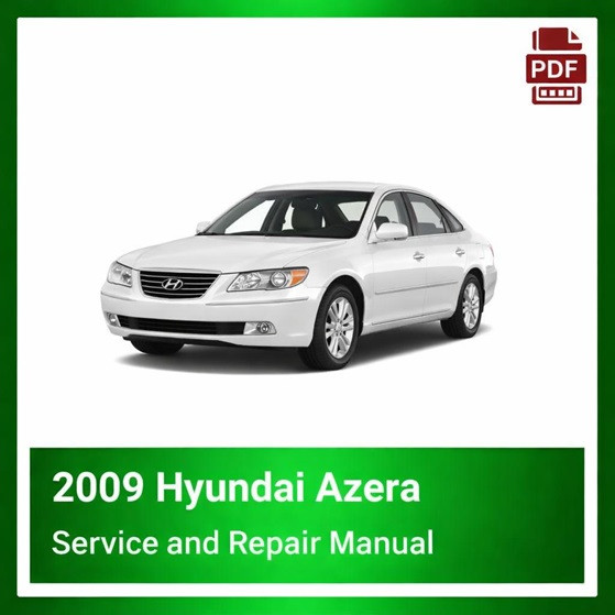 2009 Hyundai Azera repair manual
