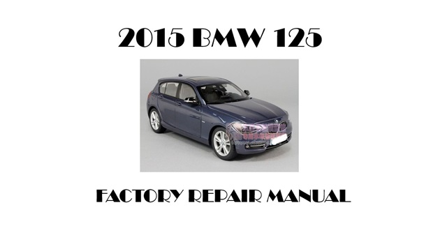 2015 BMW 125 repair manual