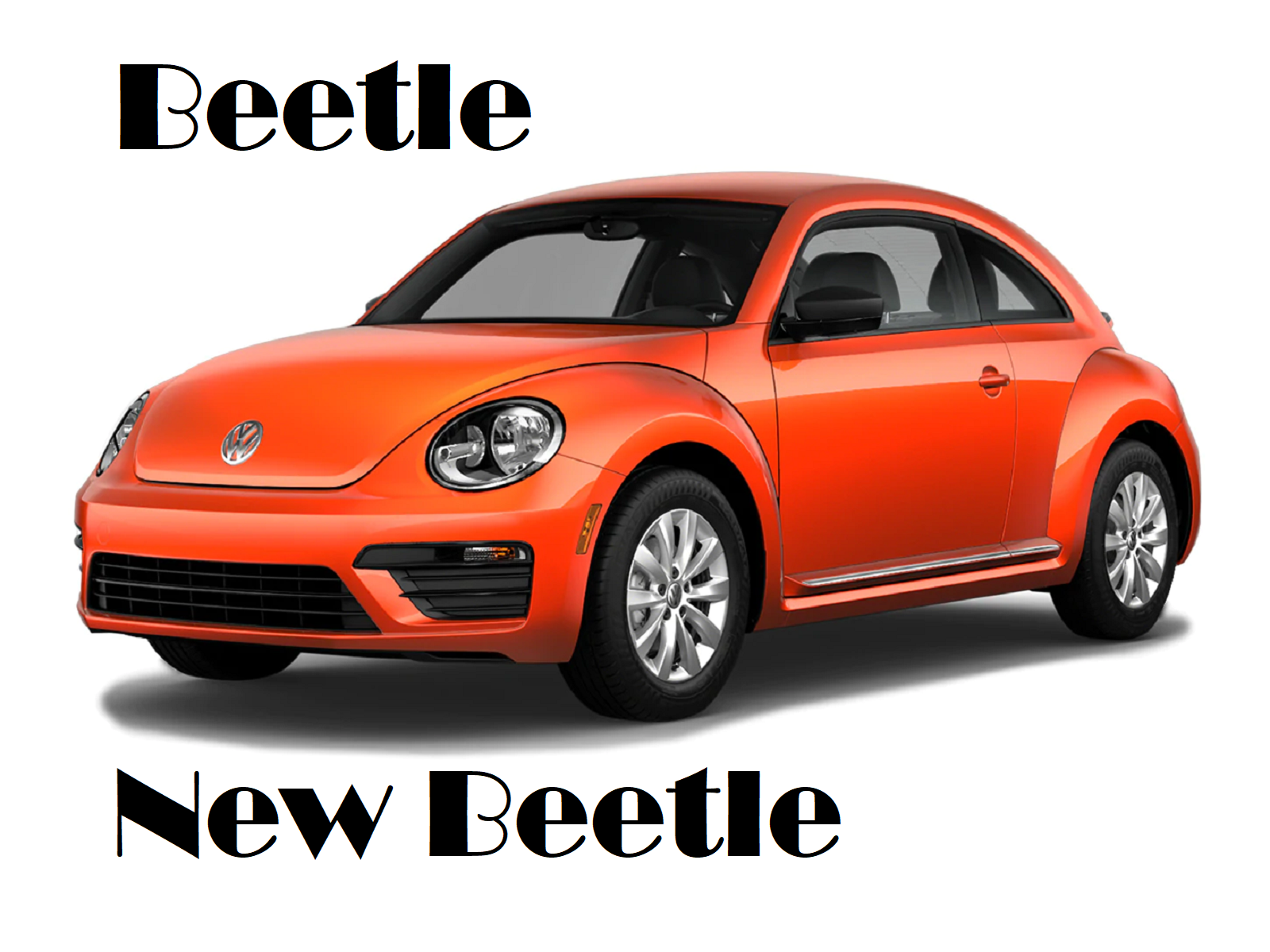 VOLKSWAGEN Beetle/New Beetle