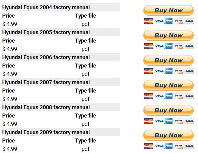 Hyundai Equus LZ 2004 2005 2006 2007 2008 2009 repair manual